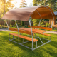 Lapene Astra