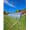 Siltumnīca 3x10 m ar 4 mm polikarbonātu